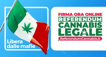 Firma per la Legalizzazione della Cannabis con il tuo smartphone
