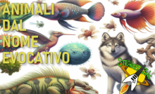 animali dal nome evocativo
